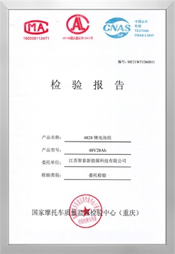 检测报告