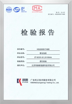 检测报告