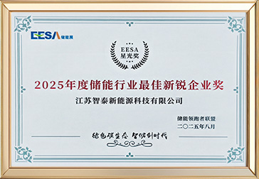 2025年度储能行业最佳新锐企业奖