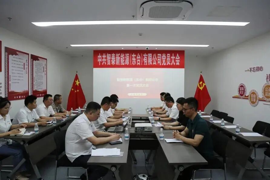 智泰新能源党支部揭牌